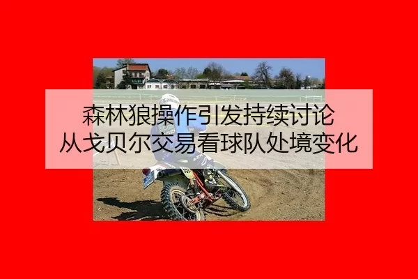 森林狼操作引发持续讨论 从戈贝尔交易看球队处境变化