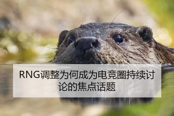 RNG调整为何成为电竞圈持续讨论的焦点话题